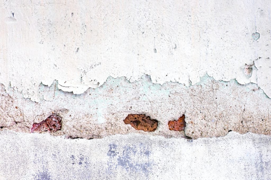 mold growth in basement