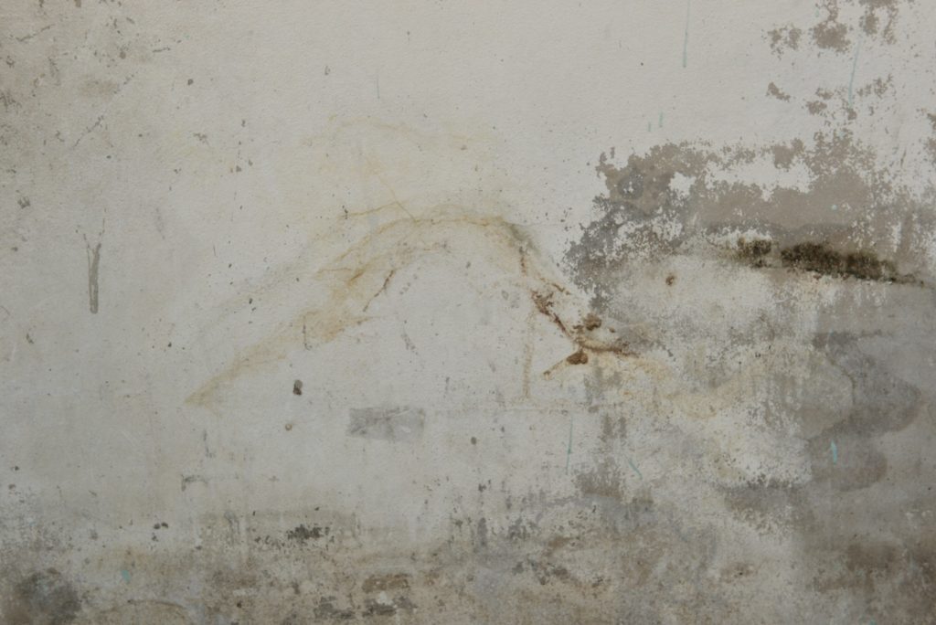 waterproof your basement