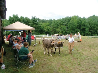 Belknap County 4-H Fair