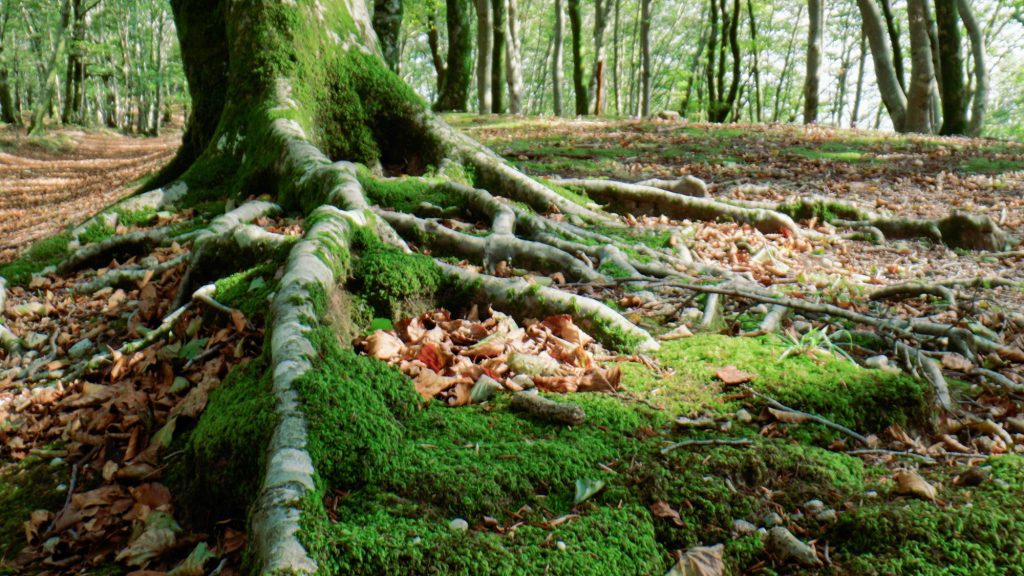 Understanding Different Waterproofing Materials And Their Uses