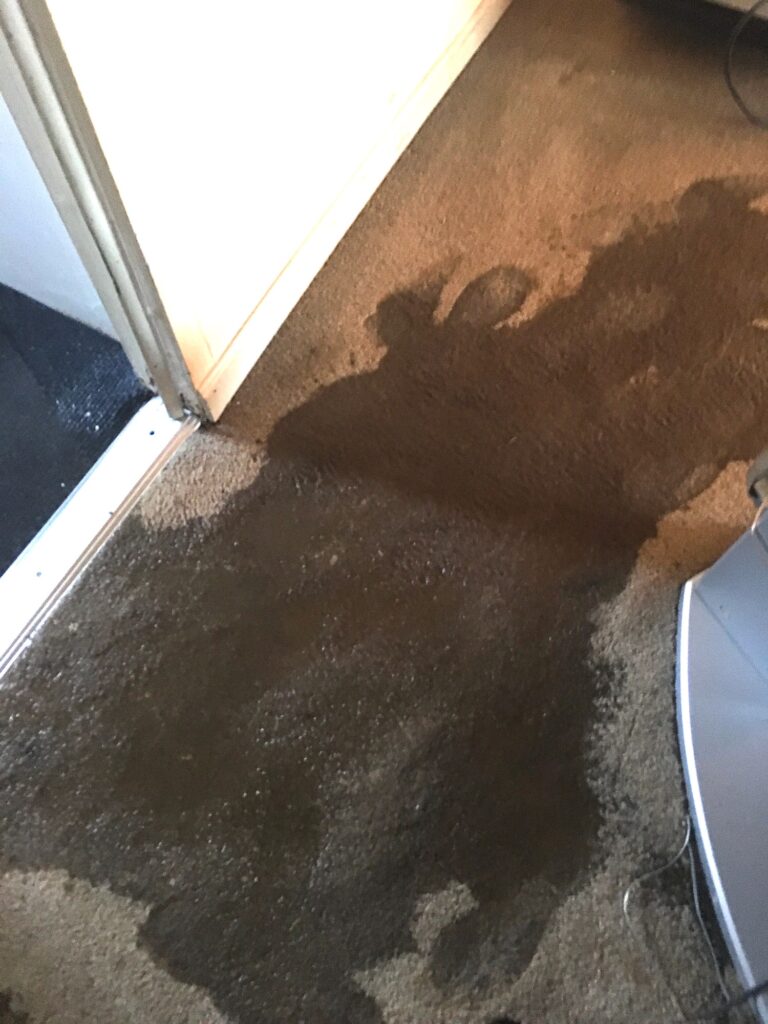 Water-damaged carpet near doorway showing possible indoor moisture or foundation-related water intrusion