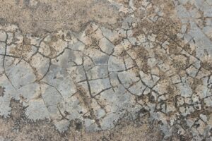 Foundation problems in older houses shown by cracked gray cement wall with mold texture