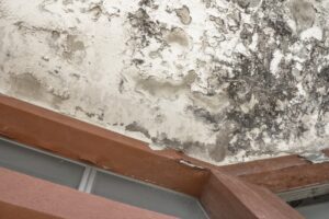Crack X team providing expert foundation repair services to protect your home’s structure