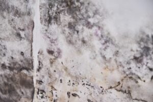 Crack X repairing basement water leaks in New England homes