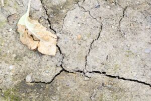 New England home foundation inspected for cracks caused by seasonal weather changes - Seasonal Weather in New England