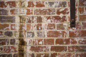 Basement moisture prevention with Crack X tie rod hole sealing services