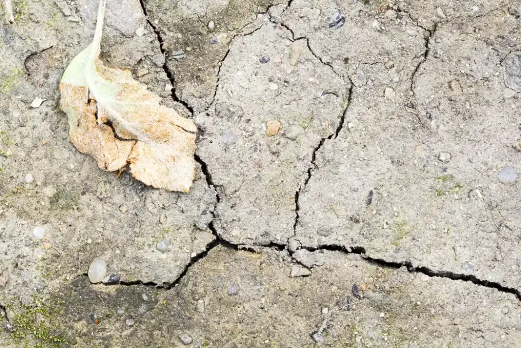 Cracked ground caused by seasonal soil movement and changing weather conditions affecting foundation stability
