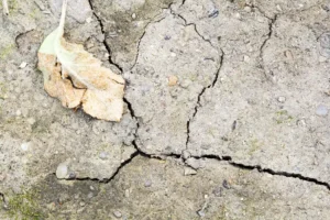 Cracked ground caused by seasonal soil movement and changing weather conditions affecting foundation stability