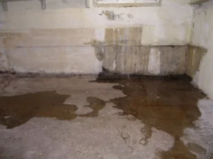 Water leaking through a basement foundation wall causing musty basement odors and moisture damage.